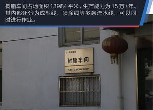 游武汉工厂 试乘体验 东风雷诺四周年庆祝仪式