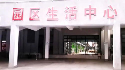 暑假跟朋友进武汉江夏这座工厂,随拍园区生活,超市和食堂人气高
